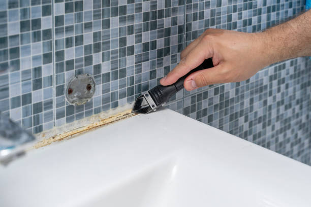 Best Office Mold Removal Services  in La Blanca, TX