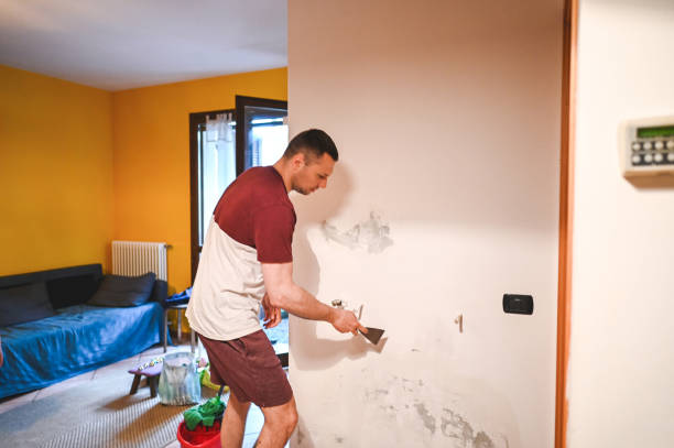 Best Crawl Space Mold Removal  in La Blanca, TX